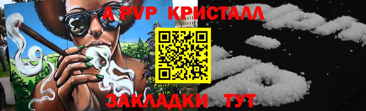 A-PVP СК Дальнегорск