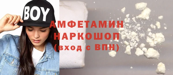 прущие грибы Богданович