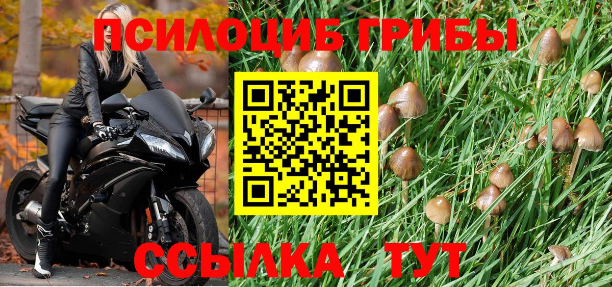 Псилоцибиновые грибы мицелий  где купить   Дальнегорск  Псилоцибиновые грибы мухоморы 