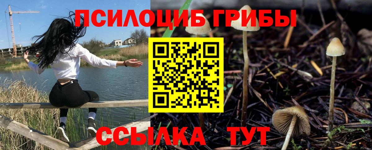 Галлюциногенные грибы GOLDEN TEACHER Дальнегорск