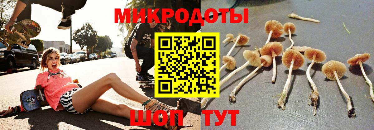 Дальнегорск  Псилоцибиновые грибы ЛСД  Вход с VPN 