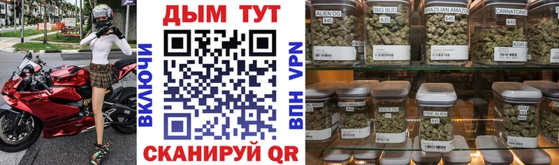 Бошки Шишки ГИДРОПОН  Дальнегорск 